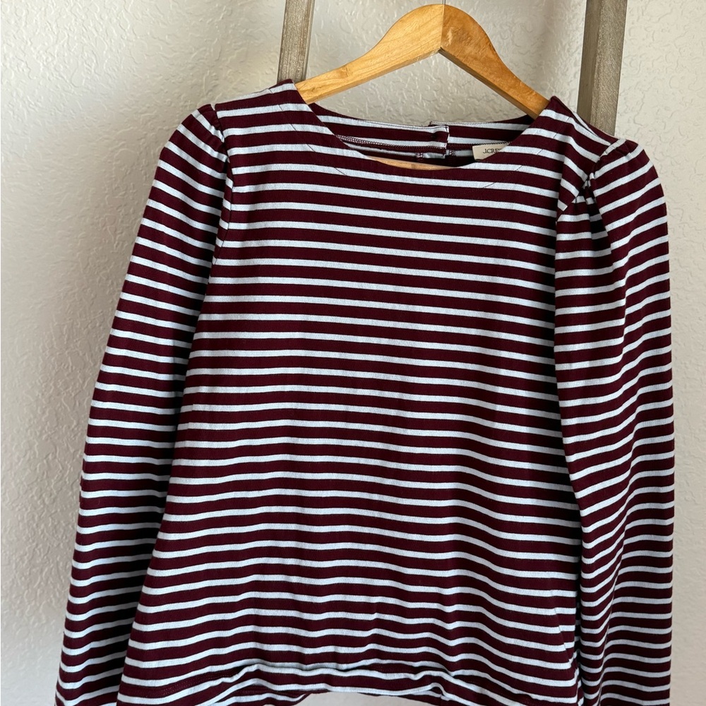 J. Crew Burgundy and Baby Blue Striped Long Sleeve Top